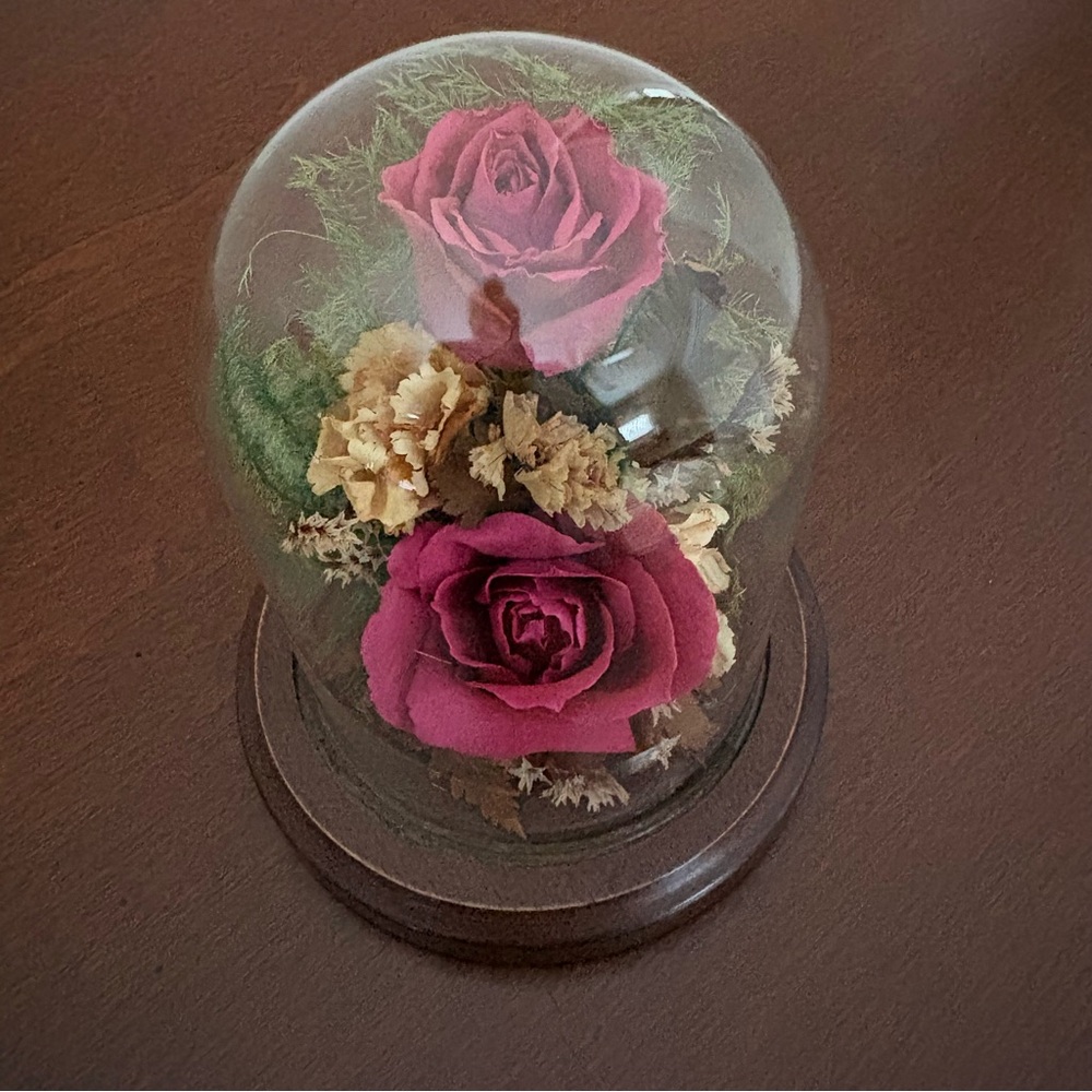 Vintage Natural Expressions Freeze Dried Preserved Roses Glass Dome & Wood Base - Picture 4 of 9